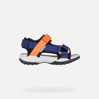 Borealis   Junior