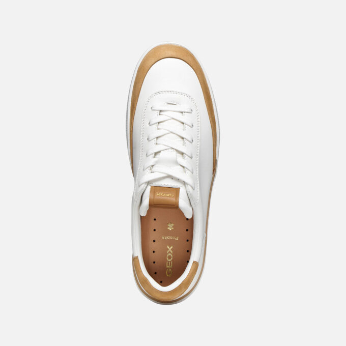 Dynamia Man Dynamia Man