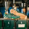 Snake Original Man Snake Original Man