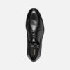 Walk Pleasure B Man Walk Pleasure B Man